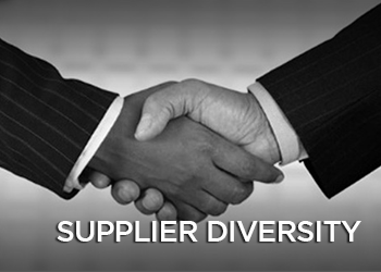 supplier diversity